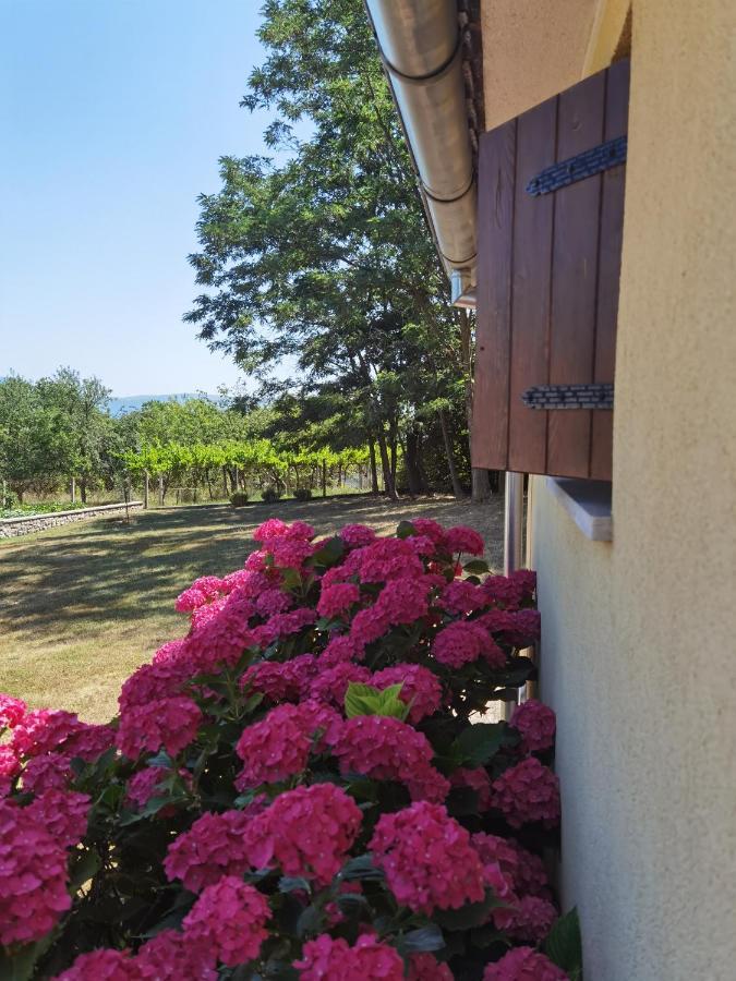 Apartment Luce Pićan Kültér fotó